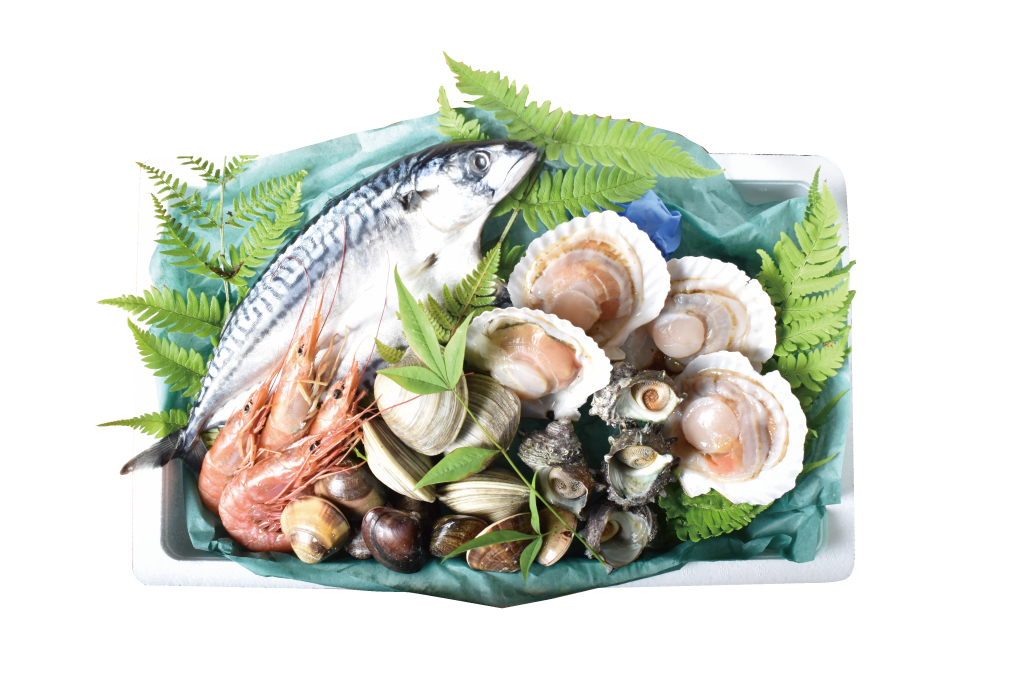 魚問屋のお得な海鮮BBQセット – 鮮魚、通販｜奥山安蔵商店・鮮魚活魚問屋